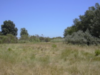 DSCN0258.JPG