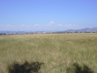 DSCN0259.JPG