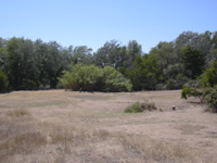 DSCN0261.JPG
