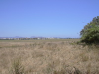 DSCN0262.JPG
