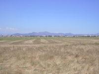 DSCN0263.JPG