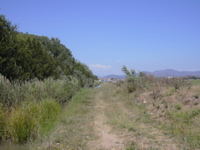 DSCN0265.JPG