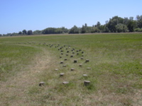 DSCN0266.JPG