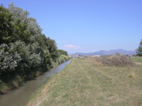 DSCN0267.JPG