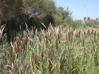 DSCN0269.JPG