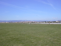 DSCN0142