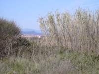 DSCN0161