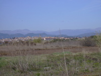 DSCN0163