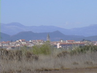 DSCN0164