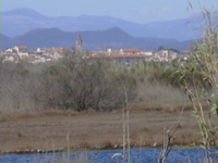 DSCN0165