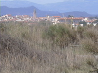 DSCN0154