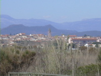 DSCN0155