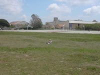 DSCN0115