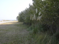 DSCN0189