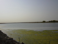 DSCN0192