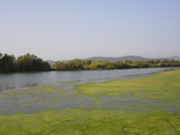 DSCN0193