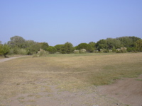 DSCN0194