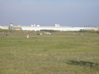 DSCN0398