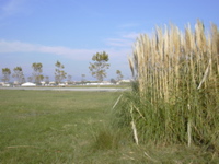 DSCN0403