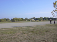 DSCN0407