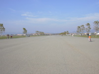 DSCN0411