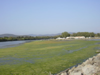 DSCN0191