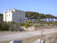 DSCN0050.JPG
