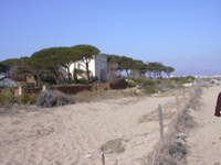 DSCN0051.JPG