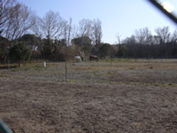 DSCN0046.JPG