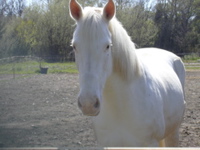 DSCN0152
