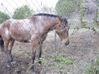 DSCN0171.JPG