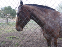 DSCN0172.JPG