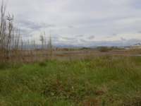 DSCN0178.JPG