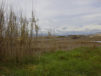 DSCN0179.JPG