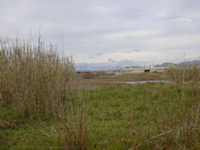 DSCN0181.JPG