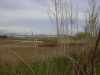 DSCN0183.JPG