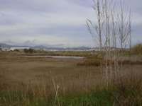 DSCN0184.JPG