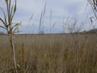 DSCN0185.JPG
