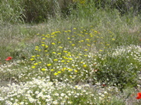DSCN0235.JPG