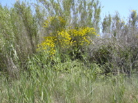 DSCN0236.JPG