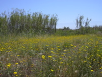 DSCN0237.JPG