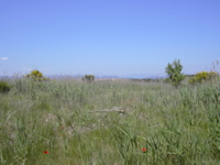 DSCN0238.JPG