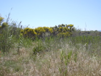 DSCN0239.JPG