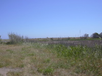 DSCN0240.JPG