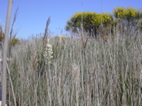 DSCN0241.JPG