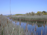 DSCN0242.JPG
