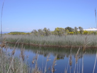 DSCN0243.JPG