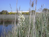 DSCN0244.JPG