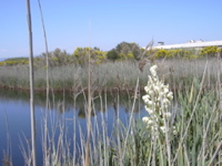 DSCN0245.JPG