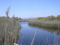 DSCN0246.JPG